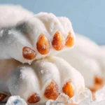 Polar Bear Paws First Image